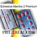 Black Mamba 2 Premium 36